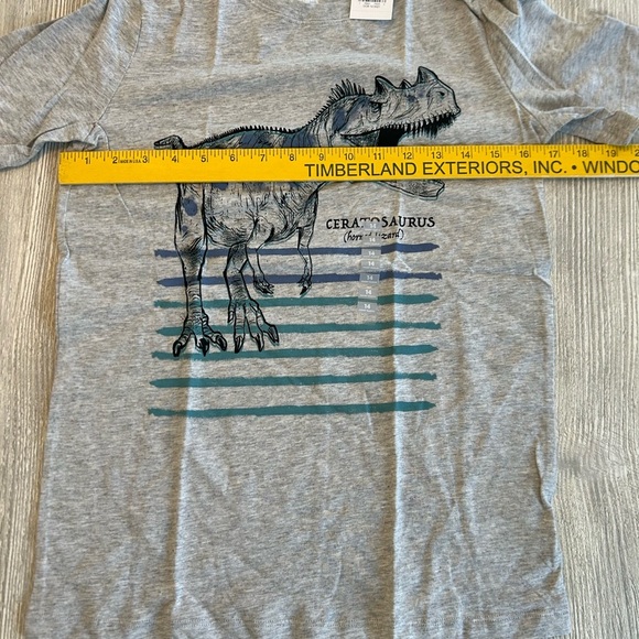 New Oshkosh Ceratosaurs Dinosaur Boys Graphic Tee Shirt Gray Short Sleeve Sz 14. - Picture 7 of 8